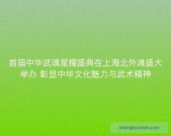 首届中华武魂星耀盛典在上海北外滩盛大举办 彰显中华文化魅力与武术精神