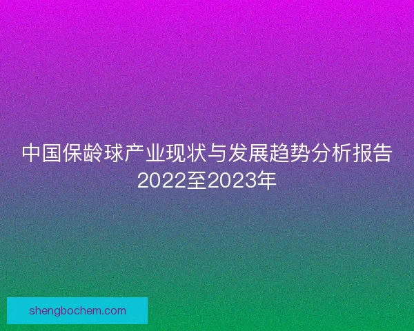 中国保龄球产业现状与发展趋势分析报告2022至2023年